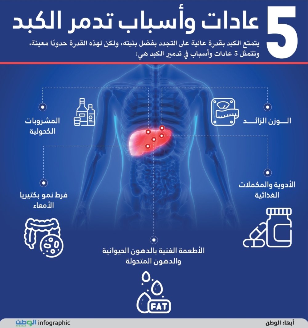 5 عادات وأسباب تدمر الكبد