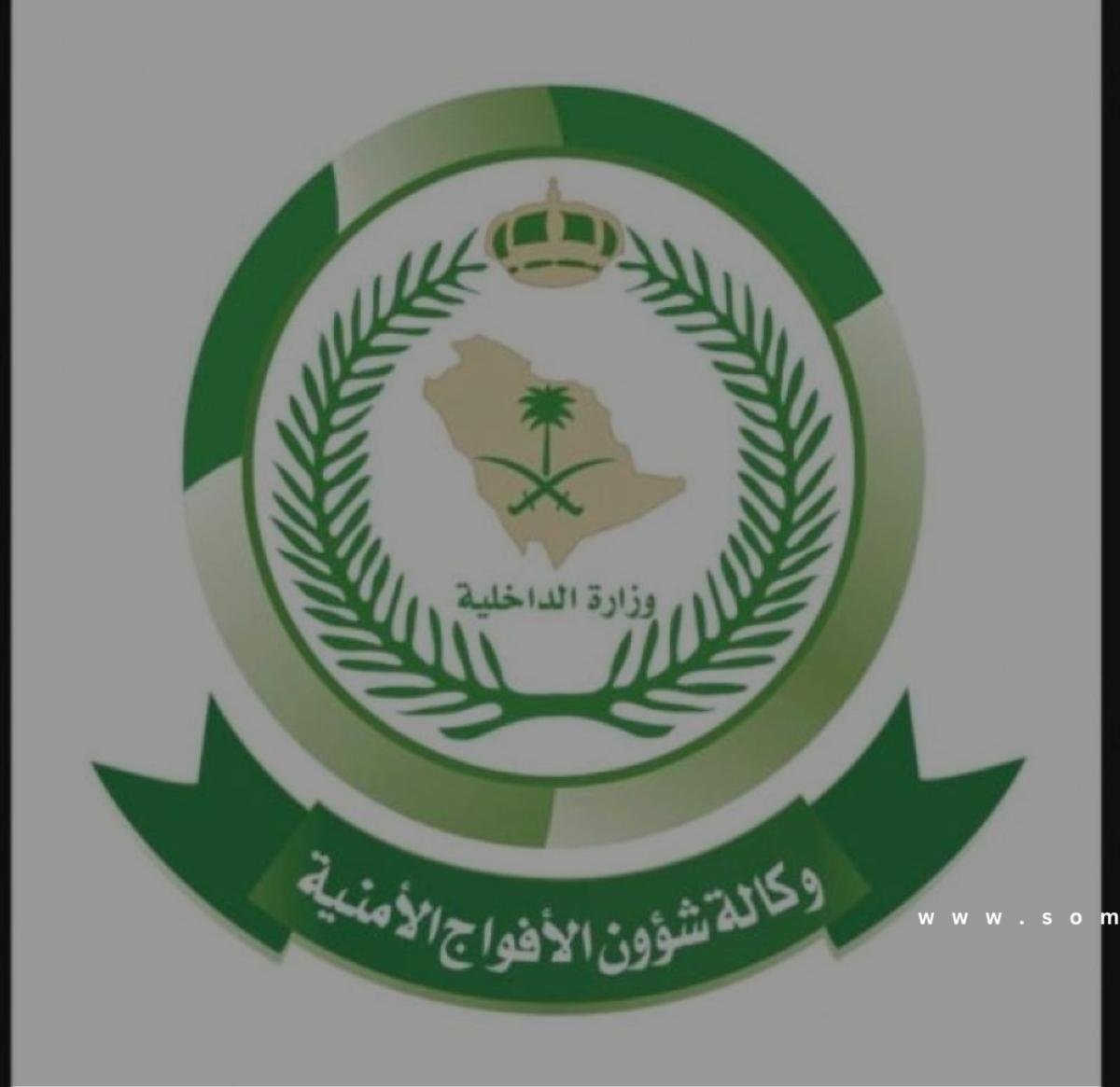 جازان: إحباط تهريب 33 كيلو جراماً من نبات القات المخدر