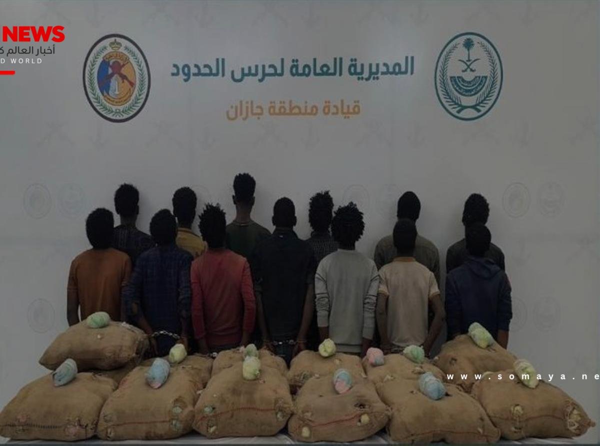 جازان: القبض على 13 مخالفاً لتهريبهم 260 كيلوغراماً من نبات القات