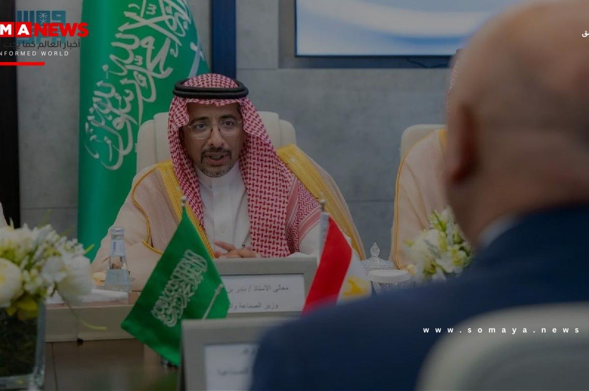 الخريف يبحث تعزيز التكامل الصناعي مع جمهورية مصر