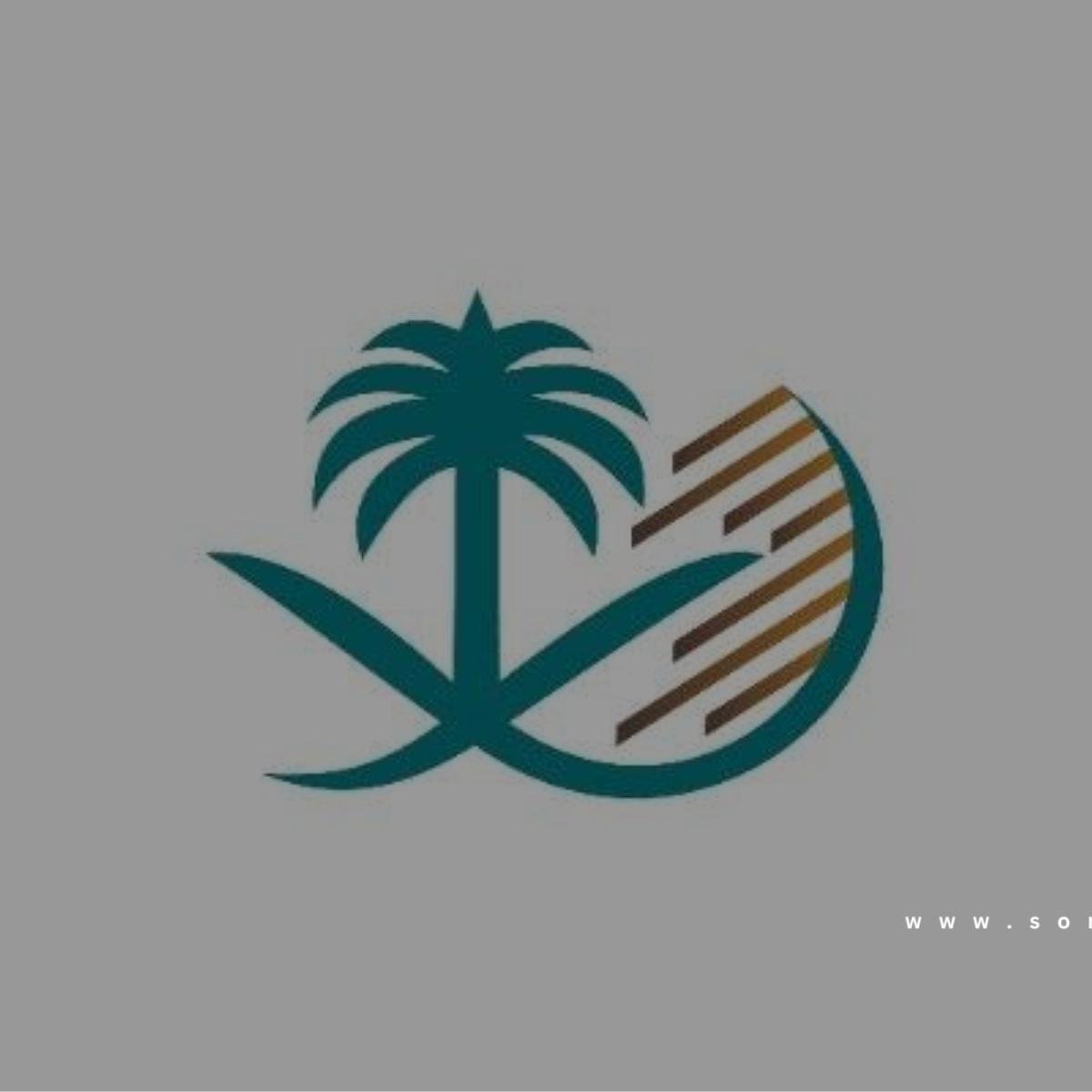 اجتماعات دولية لـ«المساحة الجيولوجية» لتعزيز الشراكات