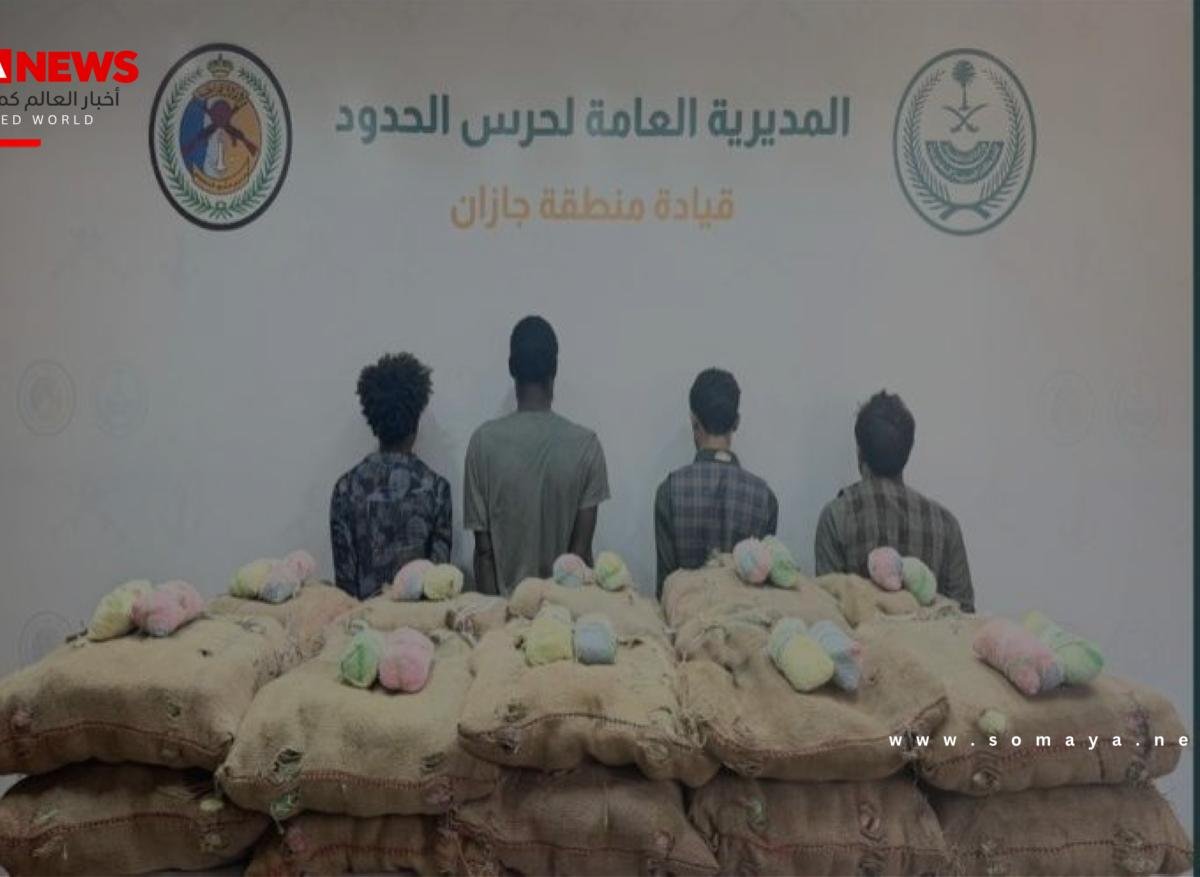 جازان: القبض على 4 مخالفين لتهريبهم 400 كيلوغرام من نبات القات