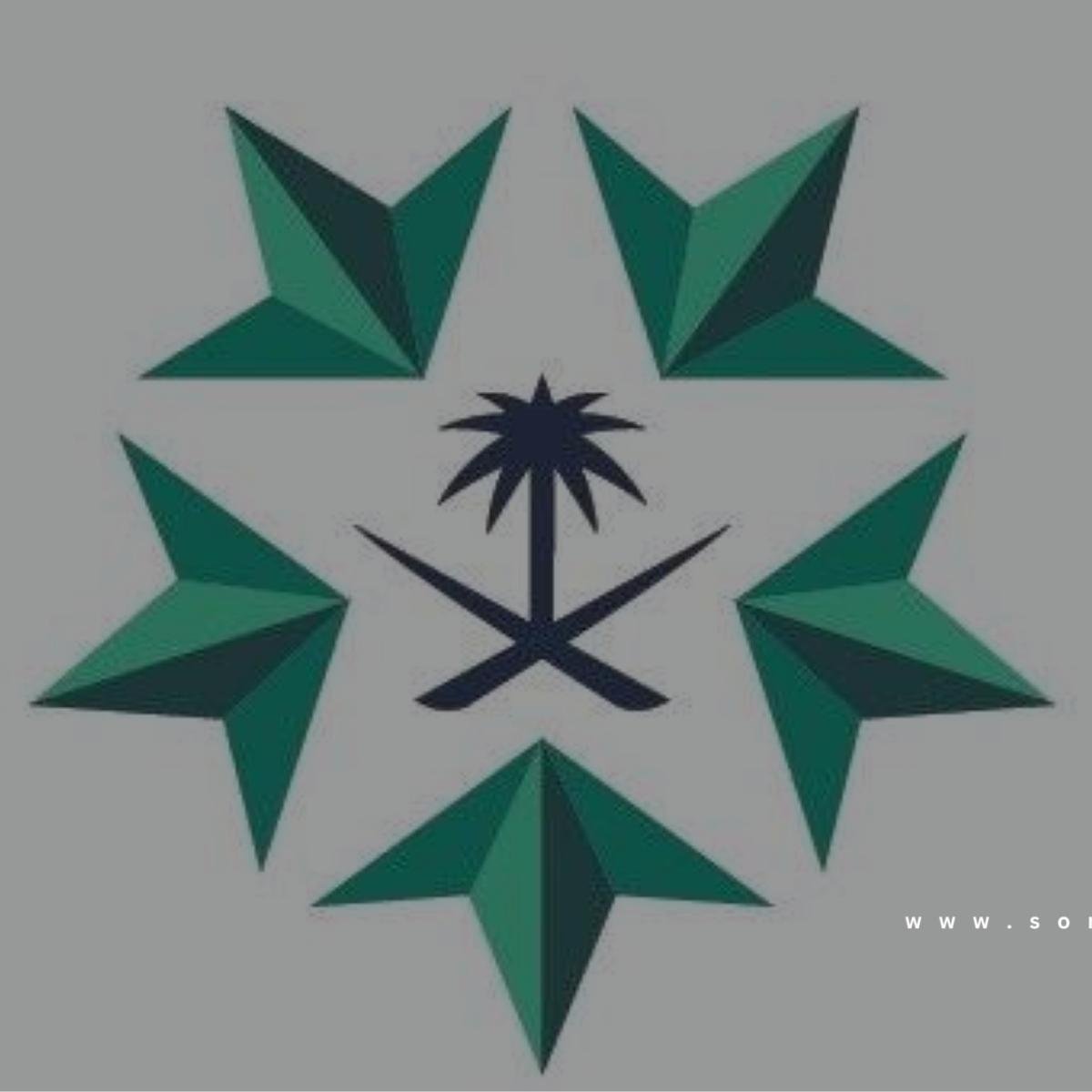 «الصناعات العسكرية» تنظّم مشاركة الجناح السعودي في معرض «DSEI 2025»