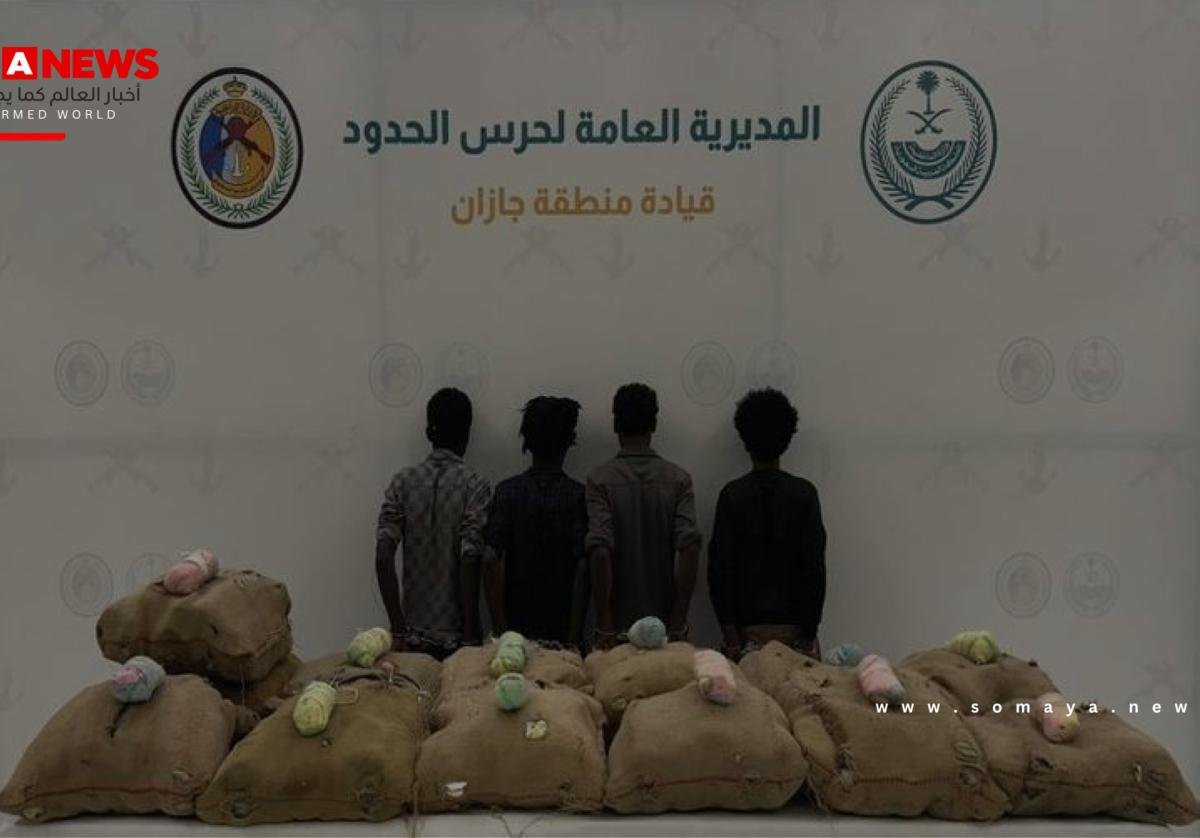 القبض على 4 مخالفين لتهريبهم 260 كيلوغراماً من نبات القات المخدر بجازان