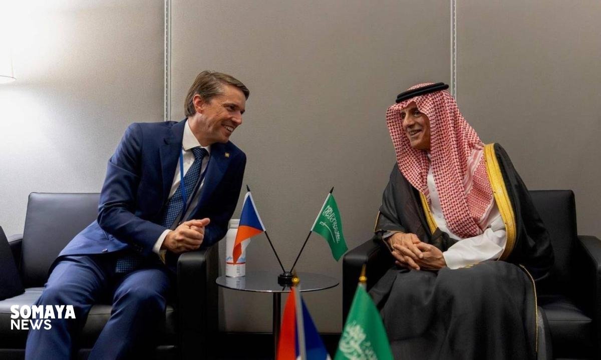 الجبير يلتقي نائب وزير خارجية التشيك