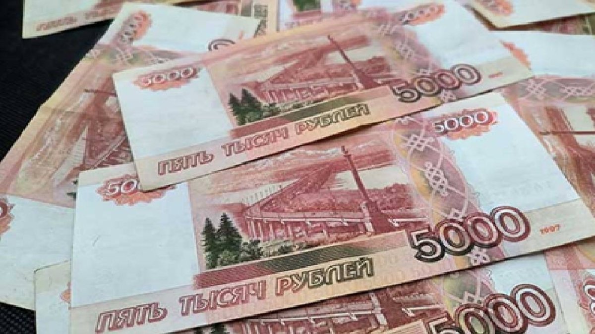 قصة غريبة: نعجة تكلف امرأة غرامة مالية