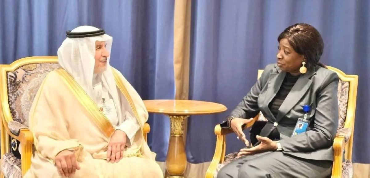 “تعاون إنساني مطروح على طاولة اجتماع الربيعة وصندوق الأمم المتحدة للسكان”