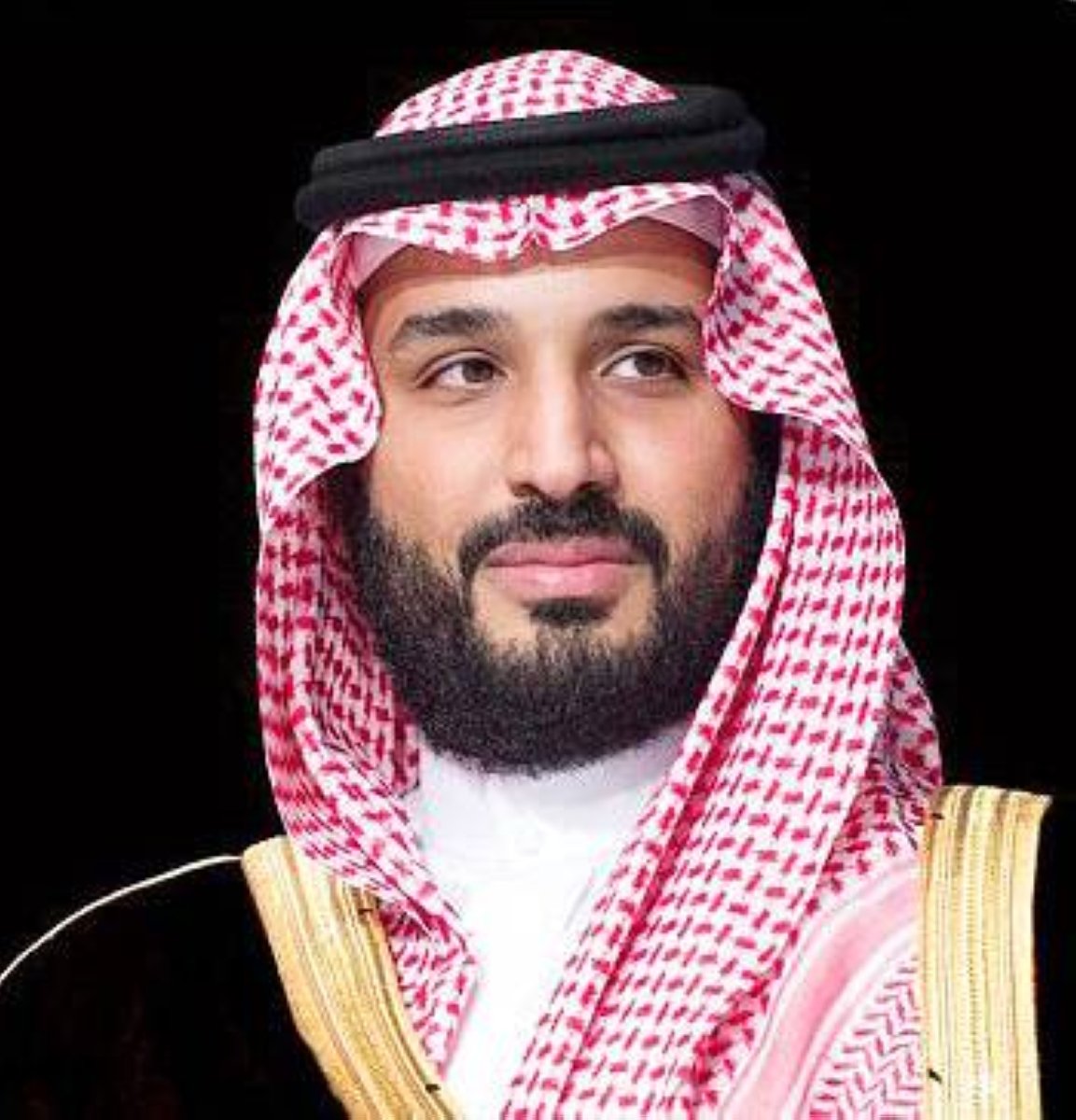 “المملكة تعلن زيارة ولي العهد إلى باكستان نوفمبر المقبل”