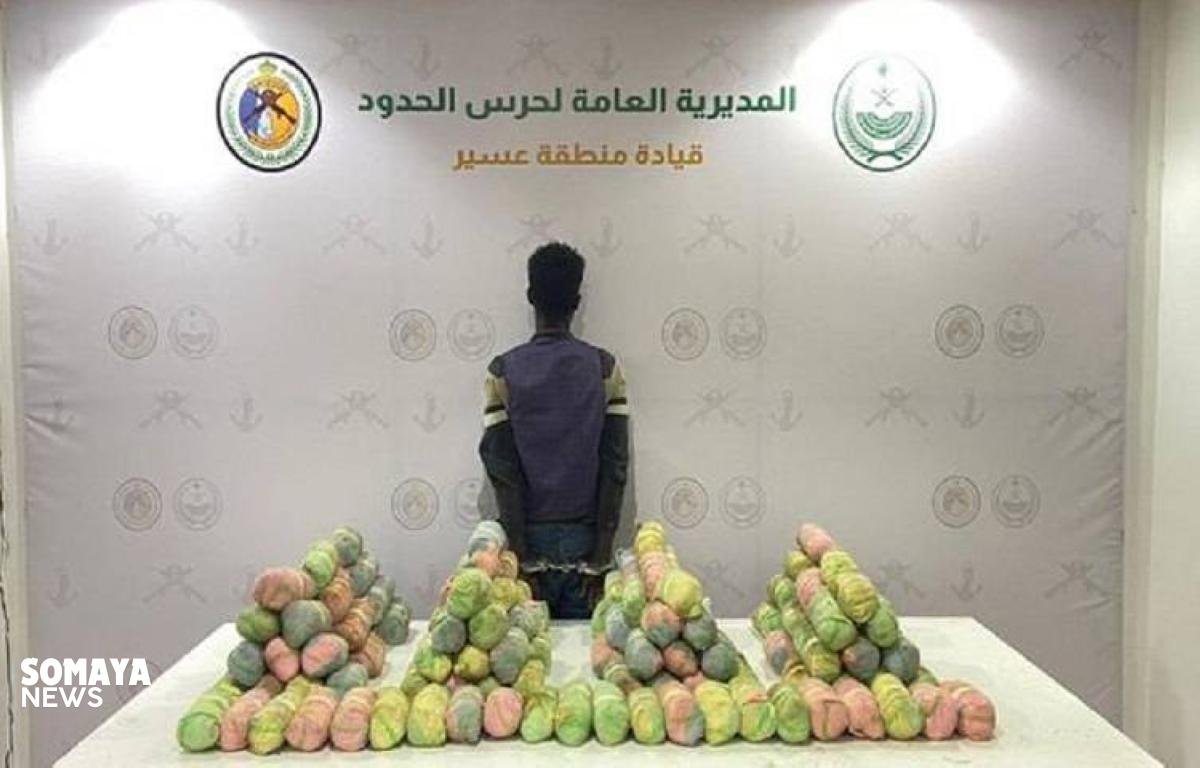 «حرس الحدود» بعسير يقبض على مخالف لنظام أمن الحدود لتهريبه 50 كيلوغراماً من القات