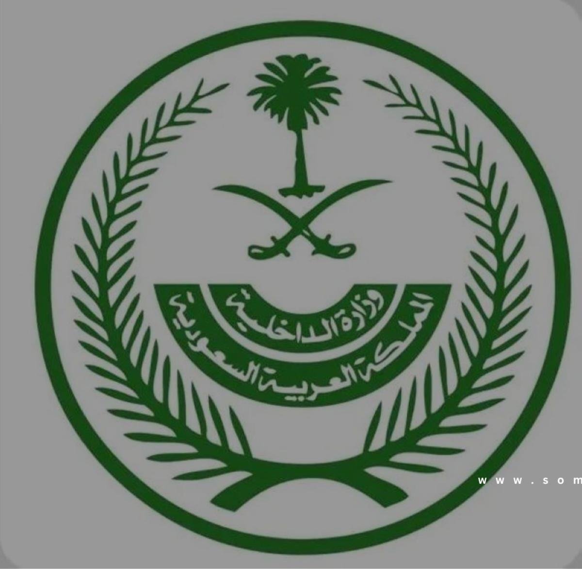تنفيذ حُكم القتل تعزيراً في مواطنين لارتكابهما جرائم إرهابية