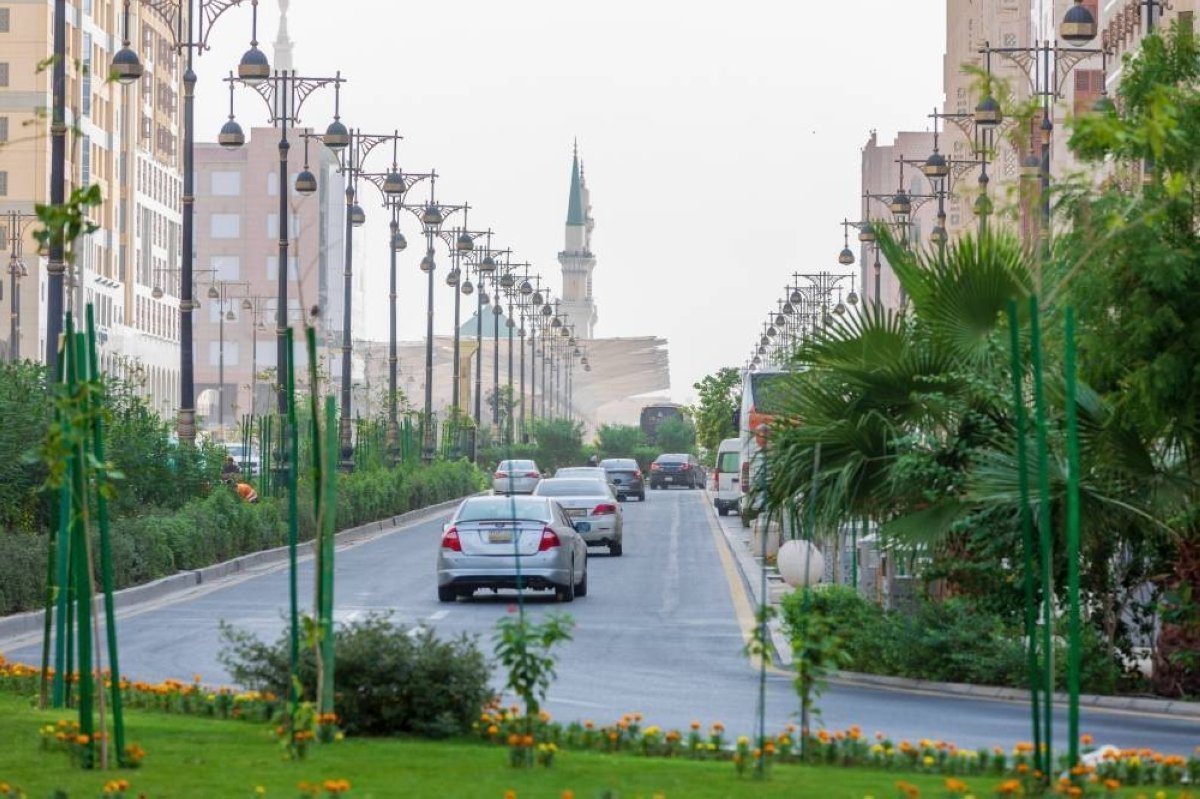 المدينة المنورة تتصدّر مدن المملكة في معدلات إشغال مرافق الضيافة السياحية للنصف الأول من 2025