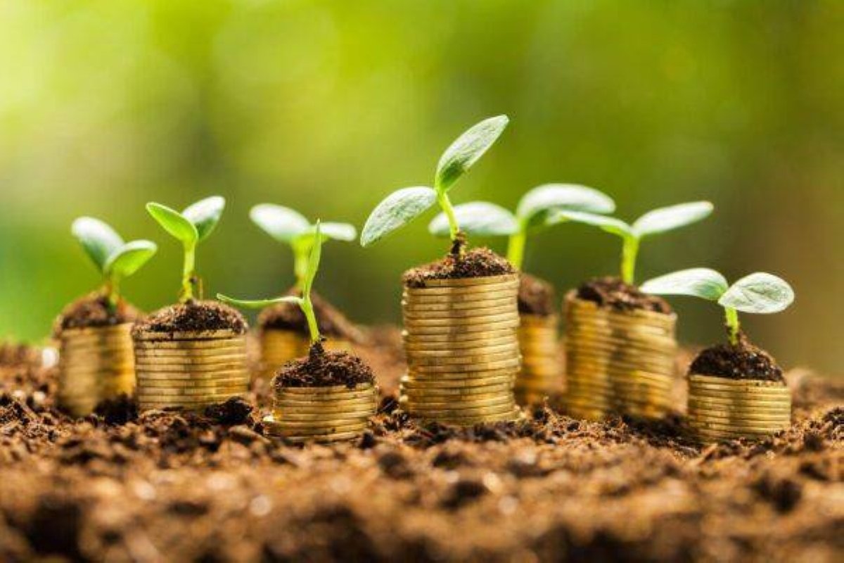 «PIF» يجمع 1.65 مليار يورو من سندات خضراء
