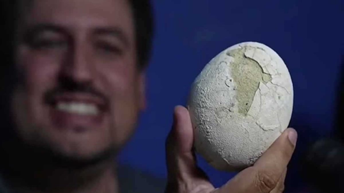 كنز من العصر الطباشيري.. العثور على بيضة ديناصور عمرها 70 مليون سنة