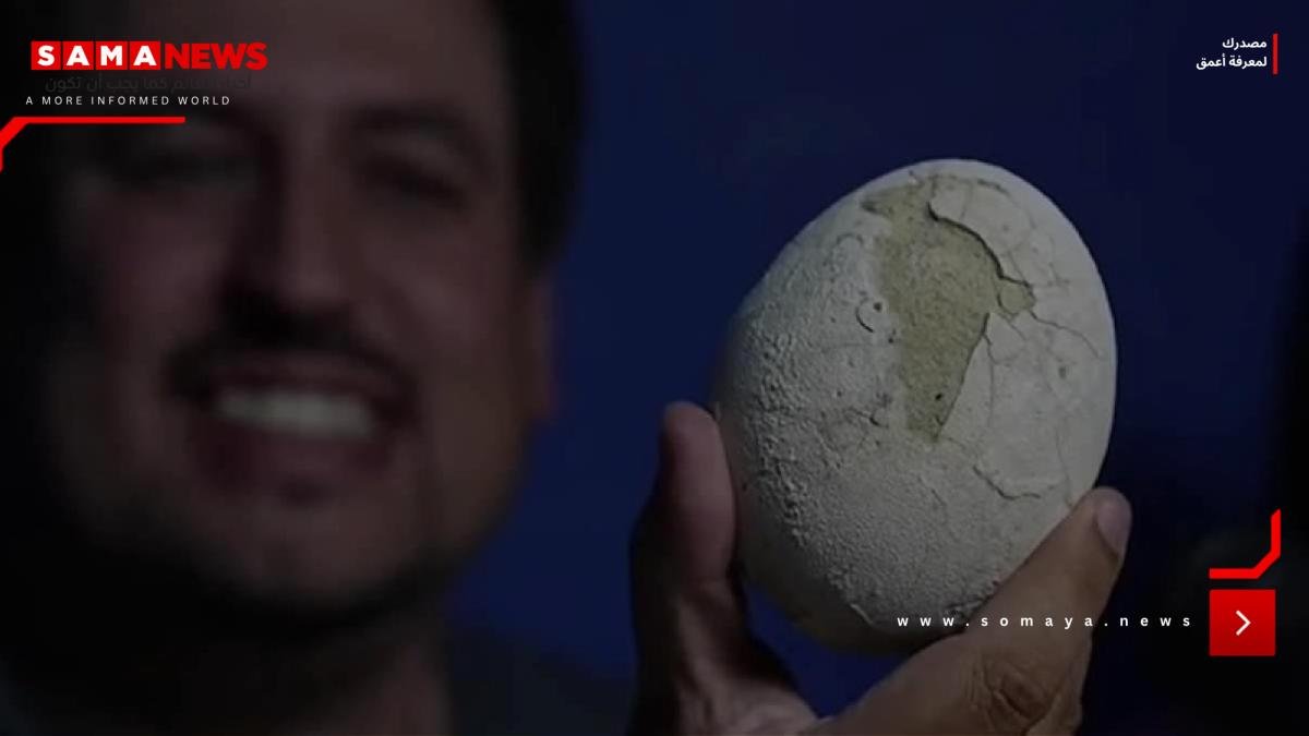 اكتشاف بيضة ديناصور عمرها 70 مليون سنة !