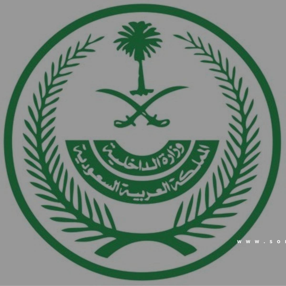 «الداخلية»: تنفيذ حُكم القتل تعزيراً بأحد الجناة في منطقة الرياض