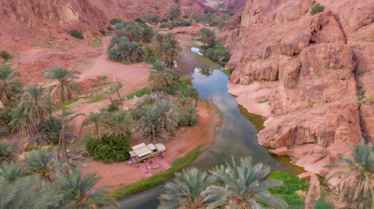 حائل.. من جمال الطبيعة إلى أضواء الشهرة العالمية