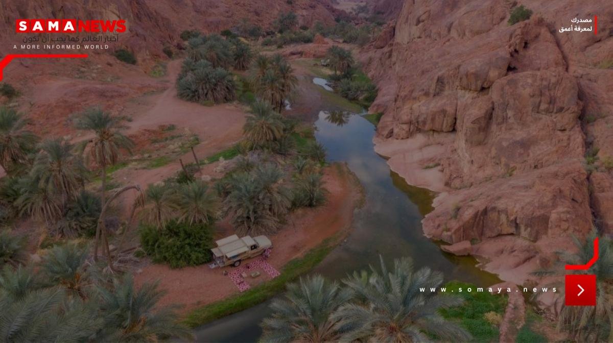 حائل.. من مشهد الطبيعة إلى شاشة العالم