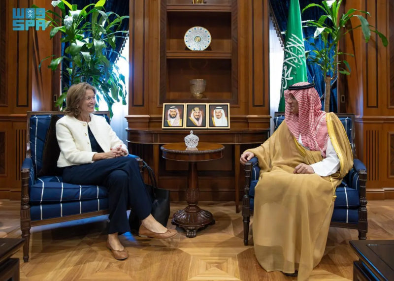 لقاء سعودي-نرويجي.. الجبير وسفيرة النرويج يبحثان التعاون المشترك