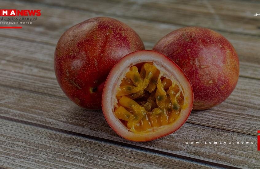 فاكهة استوائية صغيرة.. علاج واعد لشبكية العين