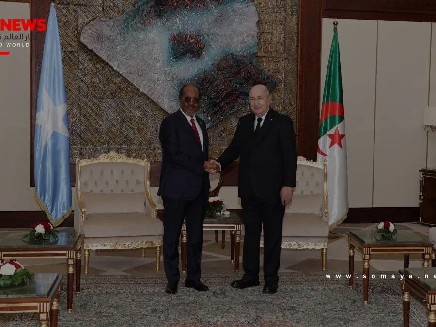 الجزائر والصومال تبرمان شراكة استراتيجية بتوقيع 6 اتفاقات ومذكرات تفاهم