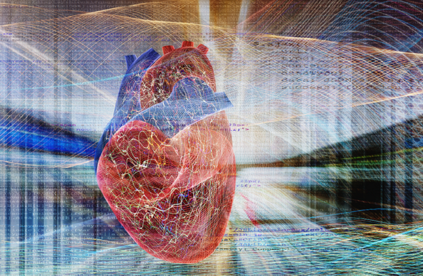 اكتشاف هدف علاجي جديد لتعزيز صحة القلب على المدى الطويل