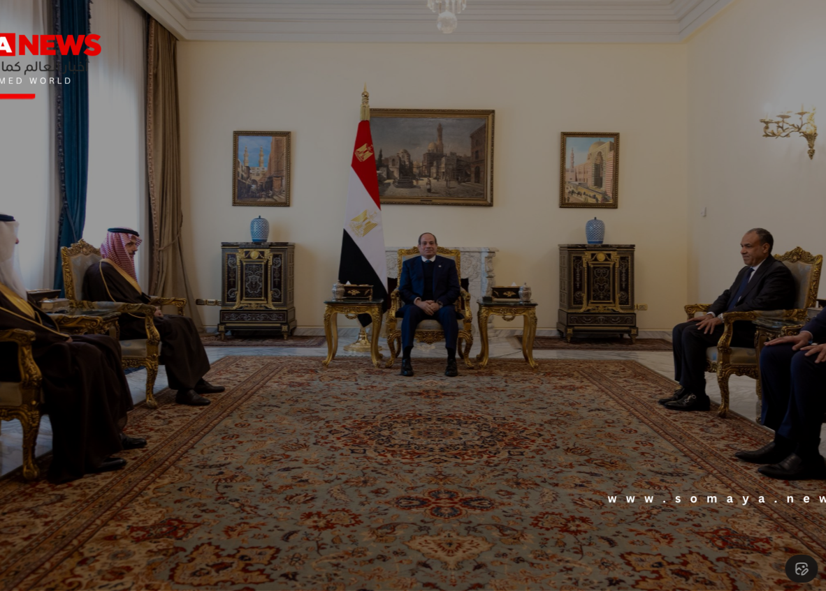 السودان واليمن والصومال وقطاع غزة أبرز الملفات في لقاء السيسي وبن فرحان