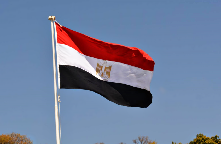 مصر.. بيان حكومي يكشف حقيقة تفشي إنفلونزا الطيور