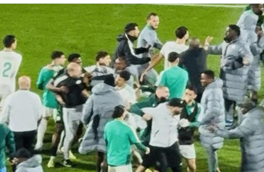 الكاف يفتح تحقيقًا عاجلًا يهدد الجزائر بعقوبات صارمة