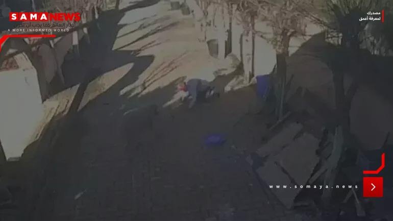 حادثة صادمة في إسطنبول.. كبش شرس يهاجم صاحبه لعدة دقائق وعدسات الكاميرا توثق الواقعة (فيديو)