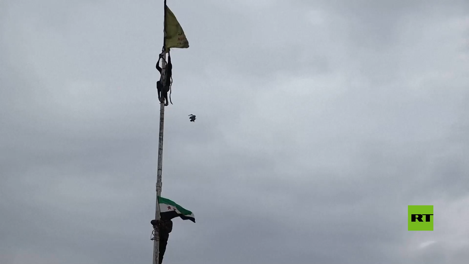رفع العلم السوري في مسكنة وسط احتفالات مع دخول قوات الجيش