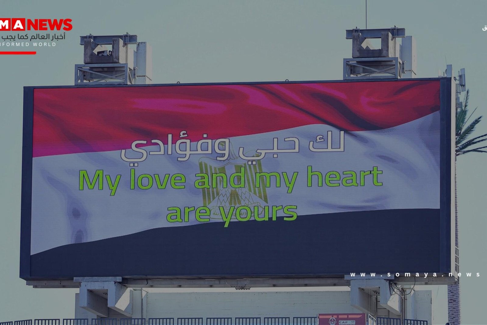 تصرف للجماهير المغربية يثير موجة غضب واسعة في مصر
