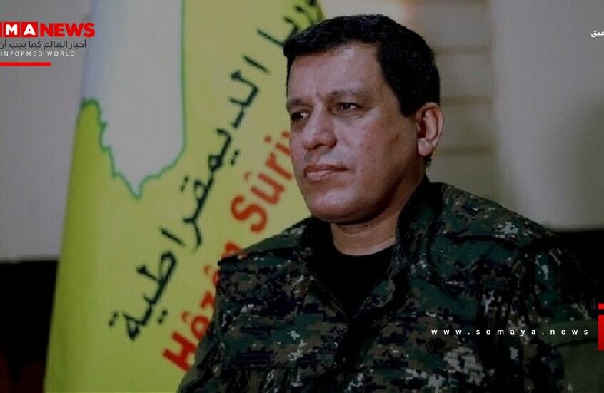 شبكة
