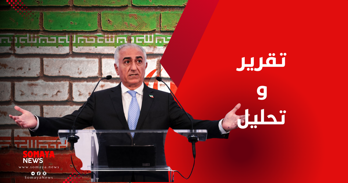 تحليل: هل يمكن لرضا بهلوي أن يقود مرحلة انتقالية في إيران؟