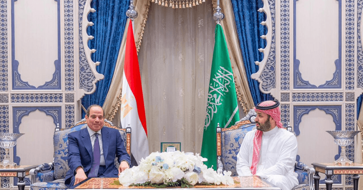 محمد بن سلمان وعبد الفتاح السيسي يبحثان آخر التطورات الإقليمية
