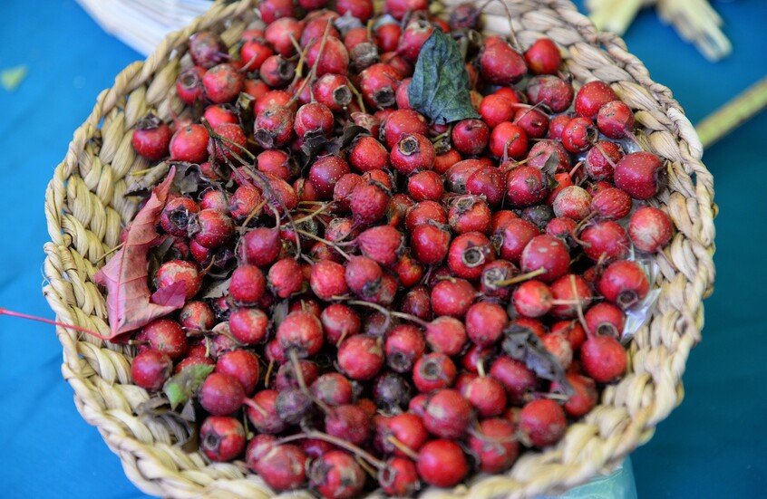 دراسة: الامتناع الكامل عن الكحول يعيد وظائف الكبد حتى في حالات التليف المتقدم