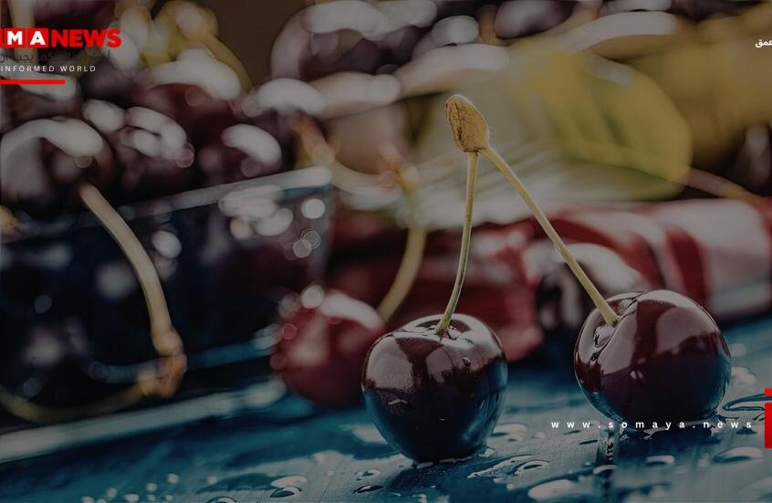 فاكهة صيفية تحمينا من أحد أخطر أنواع السرطان