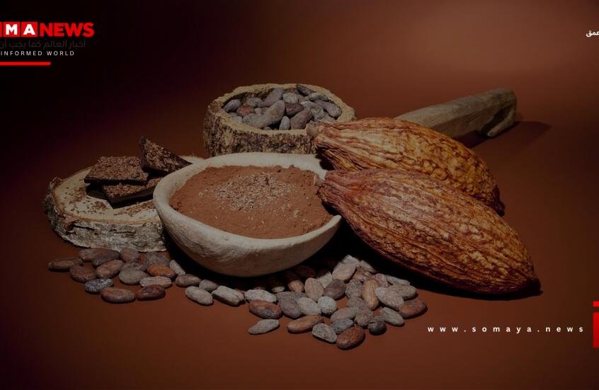 الكاكاو وتأثيره على العين.. نتائج واعدة من تجارب مخبرية