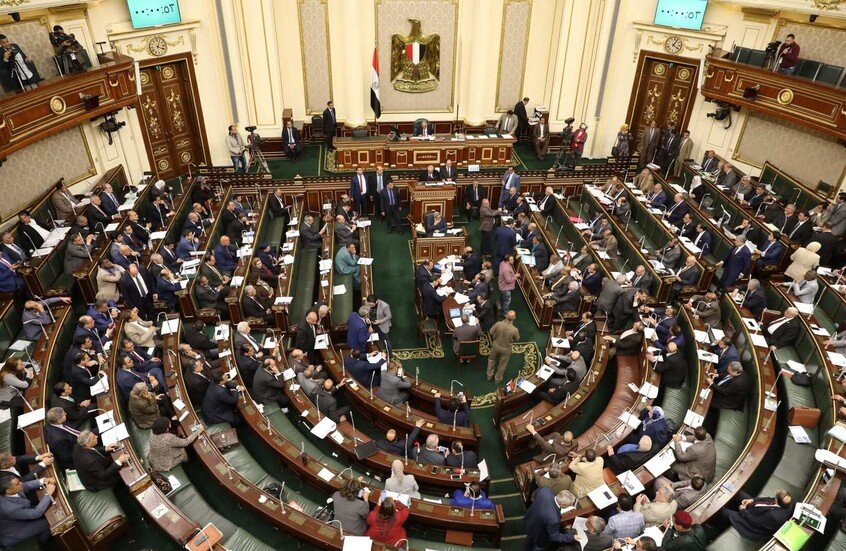 من ثلث الثروة للتبرع بالجلد.. 4 مقترحات برلمانية تثير الرأي العام في مصر