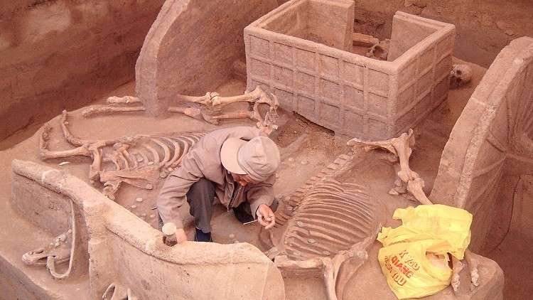اكتشاف طائر متحجر بريش عملاق يكشف أسرار التزاوج في عصر الديناصورات