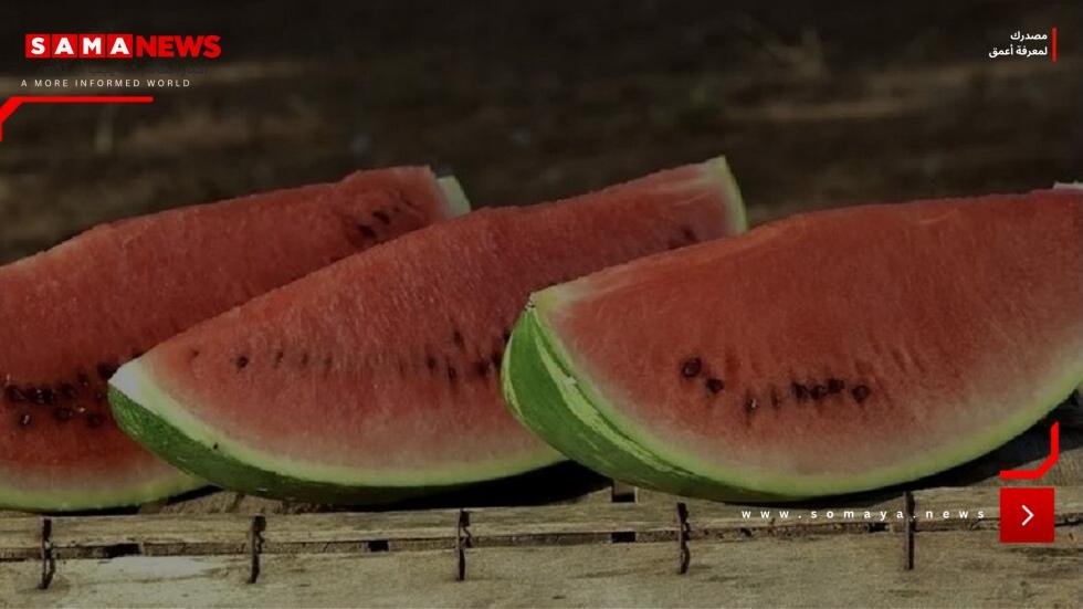بعضها خطير ويصعب علاجه.. أمراض يقي منها البطيخ الأحمر