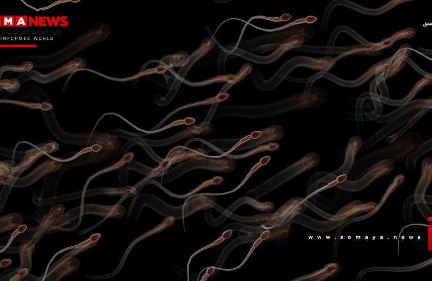 آثار تمتد منذ الطفولة.. مواد كيميائية قد تهدد خصوبة الرجال لاحقا