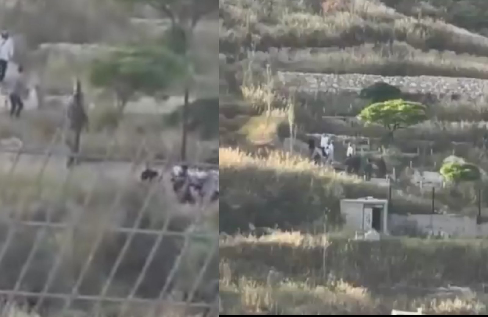 الجيش الإسرائيلي يجبر عائلة فلسطينية على نبش قبر ابنها في الضفة الغربية (فيديو)
