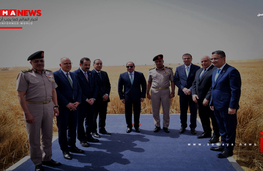 مشروع مصري يستثمر كنزا مائيا في الزراعة بدلا من إهداره في البحر المتوسط