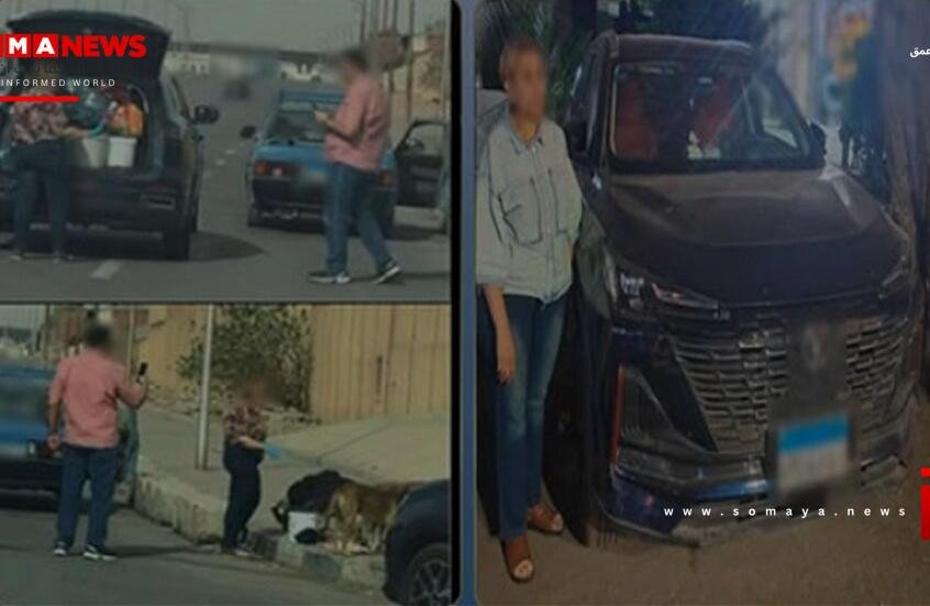 لأول مرة.. ضبط سيدة بسبب إطعامها كلاب الشارع في مصر والأمن يشرح الأسباب