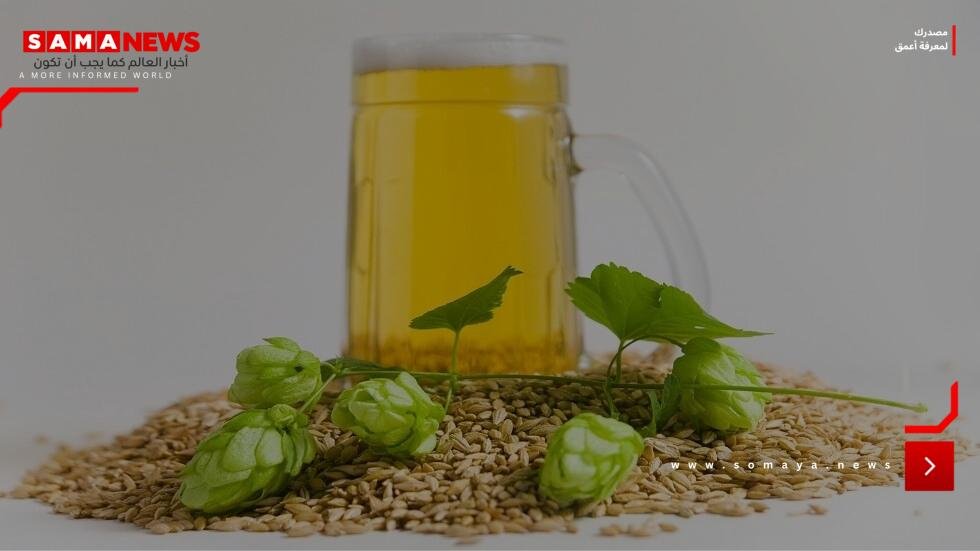 الجعة أخطر المشروبات الكحولية