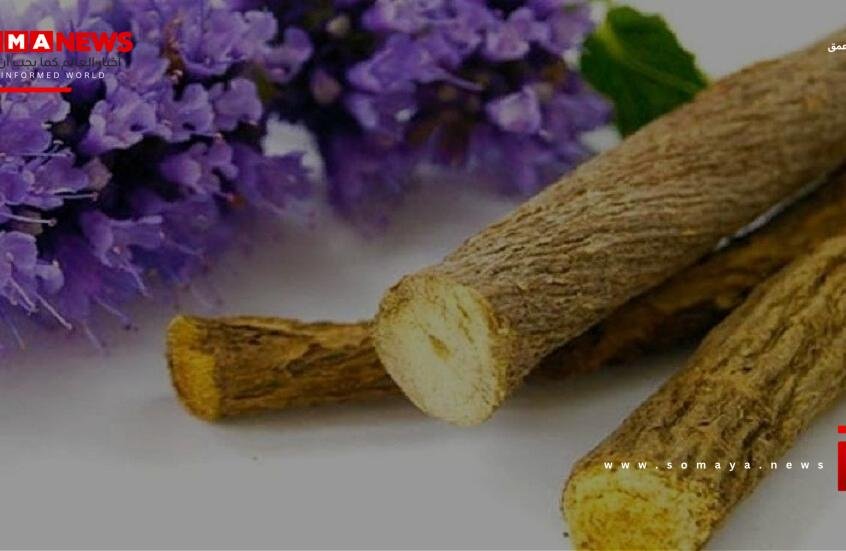 مادة في مستخلص عرقسوس تثبط التهاب الأمعاء