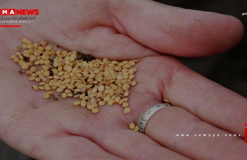 برنامج الأغذية العالمي: الملايين يتعرضون للجوع بسبب حرب إيران