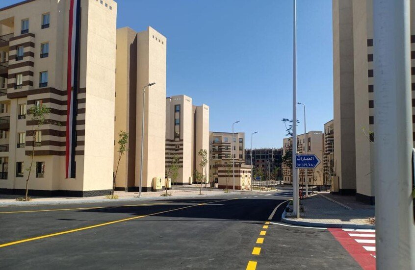 سكان مدينة مصرية يستيقظون على زوار غير مألوفين.. ثعالب تتجول بين العمارات
