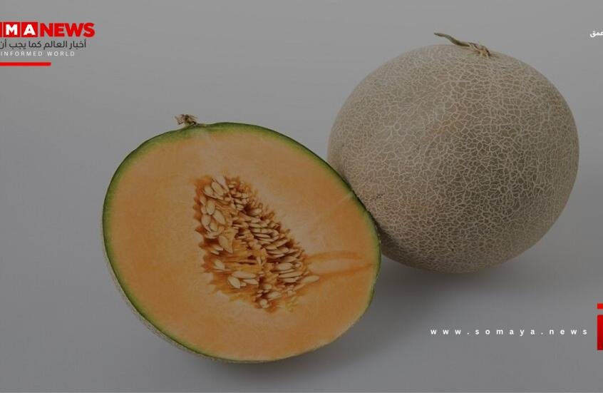 فوائد وأضرار البطيخ الأصفر (الشمام)
