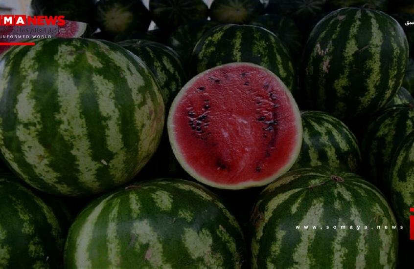 فوائد مثبتة للبطيخ الأحمر على القلب والأوعية الدموية